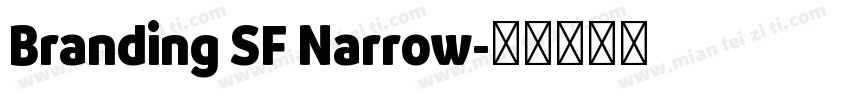 Branding SF Narrow字体转换